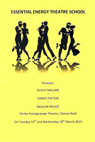 Essential Energy Theatre School BugsyMalone~DanceFactor ~MoulinRouge 2019 DVD/BR