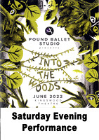 Pound Ballet Studio Presents Into The Woods 2022 on DVD & BluRay